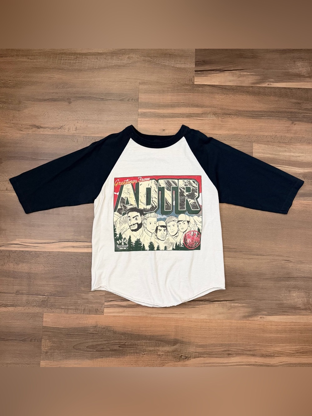 A Day To Remember ADTR 2014 Parks & Devastation Tour Baseball Band Tee Sz Small